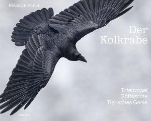 Cover Kolkrabe